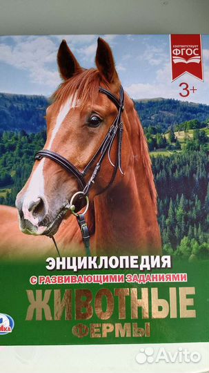 Энциклопедия с развивающ.заданиями 5 шт новые