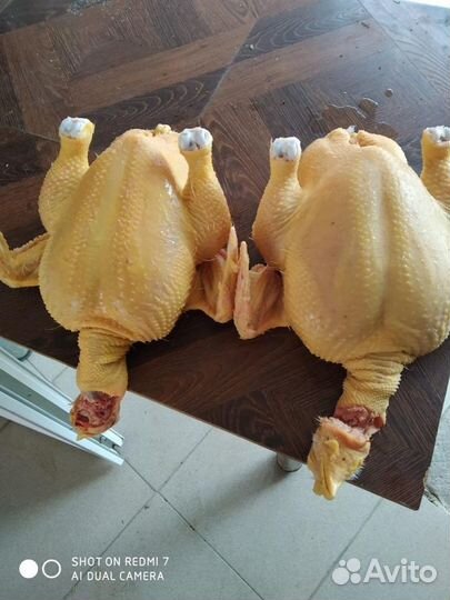 Куры бройлеры мясо