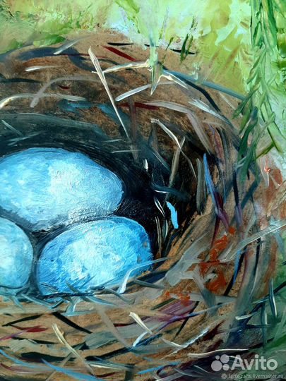 Картина маслом Яйца малиновки, Гнездо птицы