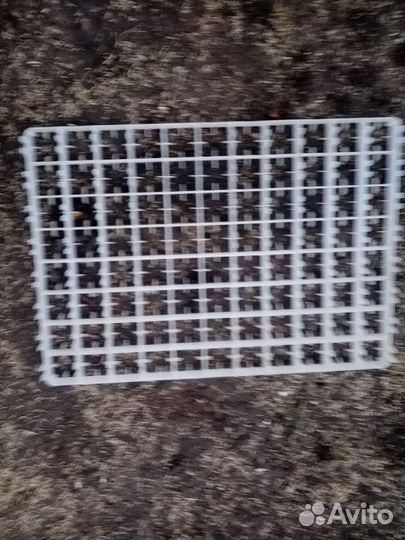 Лотки для инкубатора