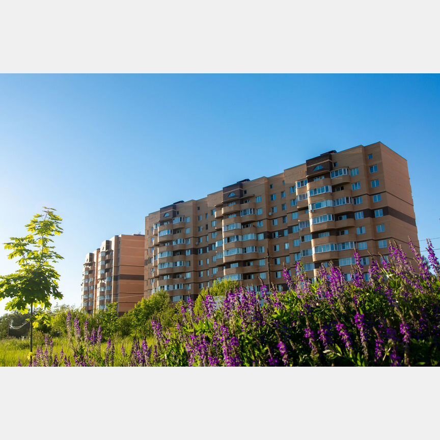 1-к. квартира, 31,7 м², 7/9 эт.