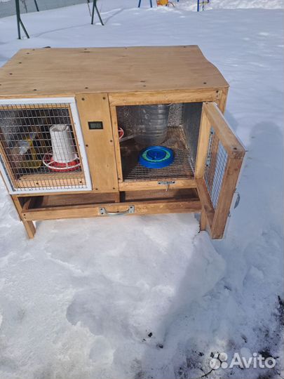 Брудер для цыплят премиум