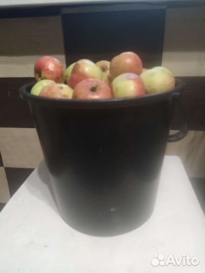 Яблоки домашние