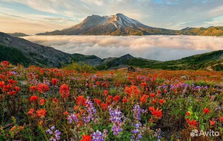 Тур поездка на Камчатку на шесть дней отель 3 зв
