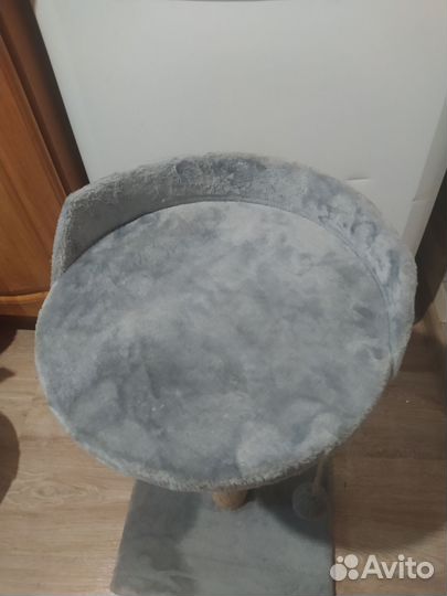 Когтеточка