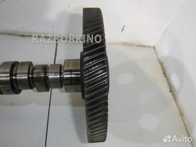 Распредвал Мерседес W670 Vario
