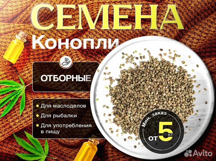 Семена конопли