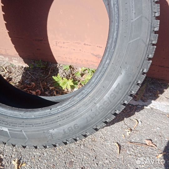 Triangle IceLink Trin PS01 215/55 R17 98T