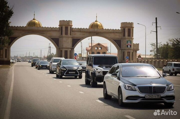 Видеограф фотограф