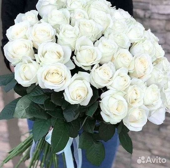 Высокие розы Гигантские розы Доставка цветов