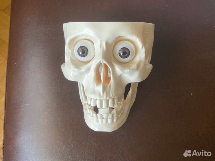 Набор собери и познай