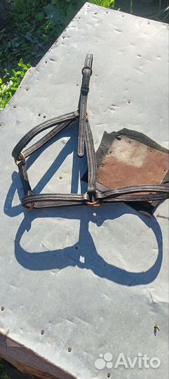 Конная амуниция