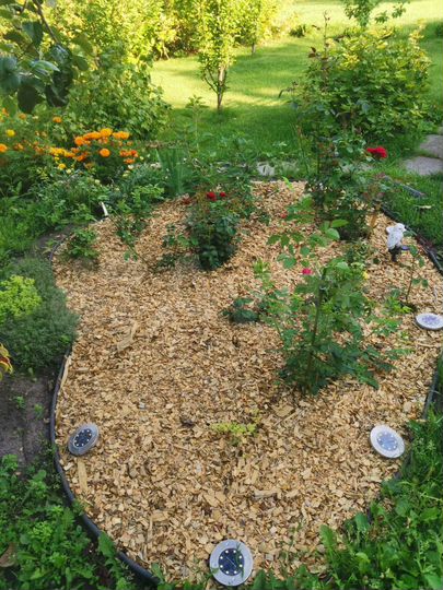 Дача 54 м² на участке 6 сот.