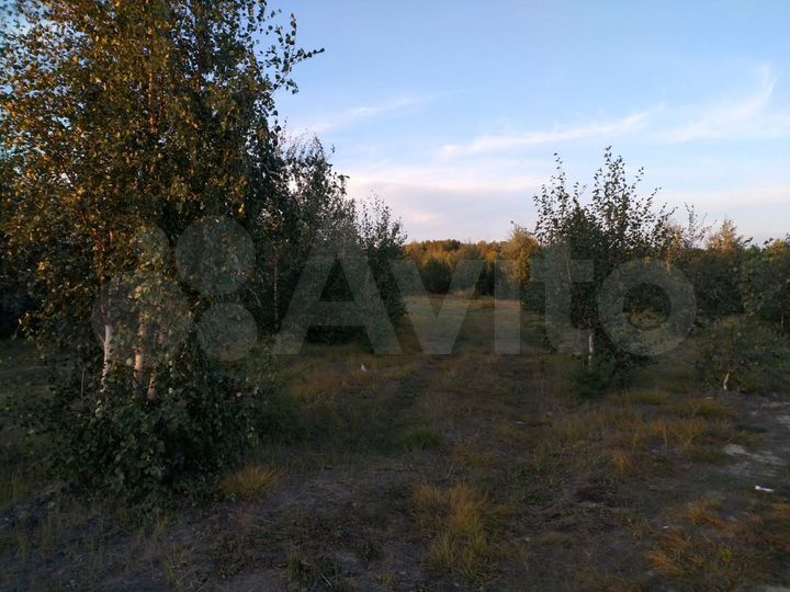 Участок 9,3 сот. (ИЖС)