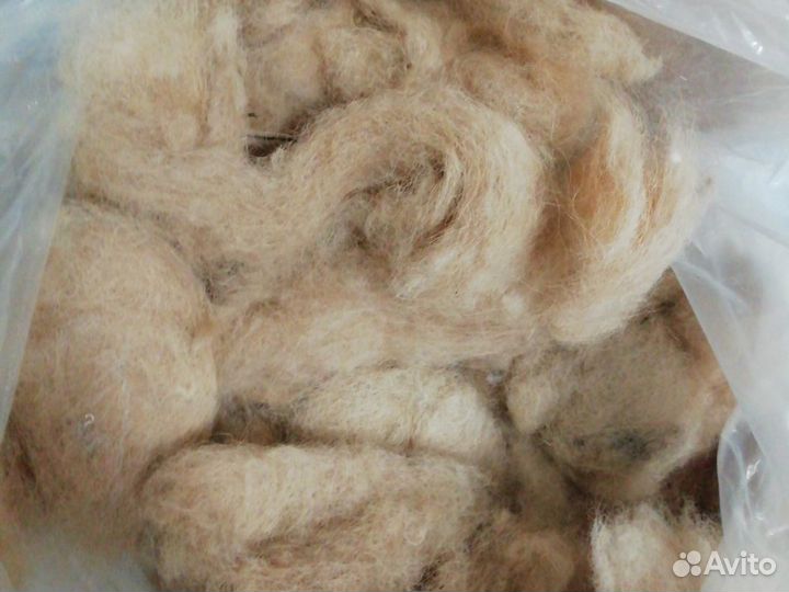 Шерсть пух собаки чау чау