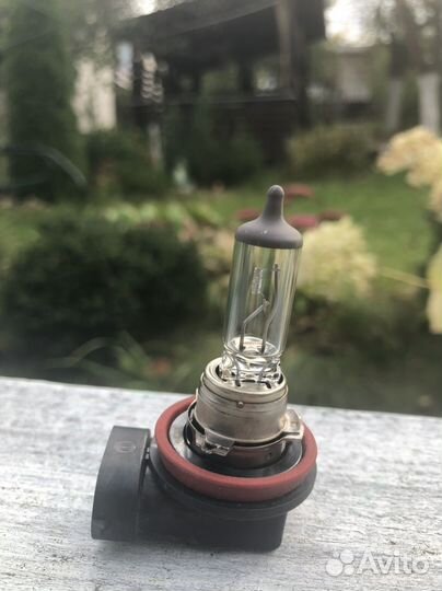 Лампа H11