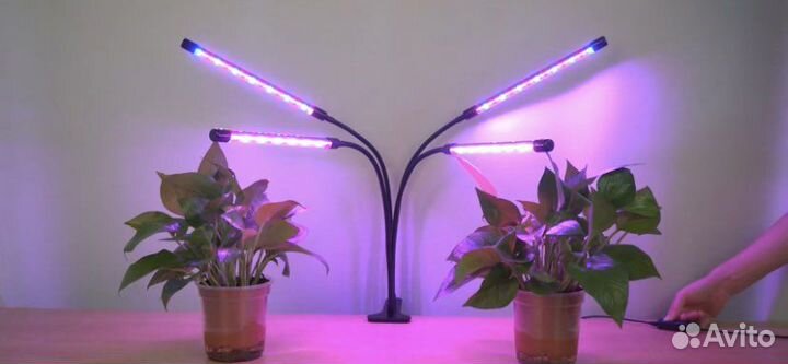 Фитолампа для растений