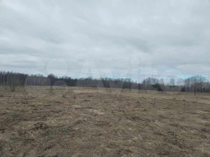 Участок 3,11 га (СНТ, ДНП)