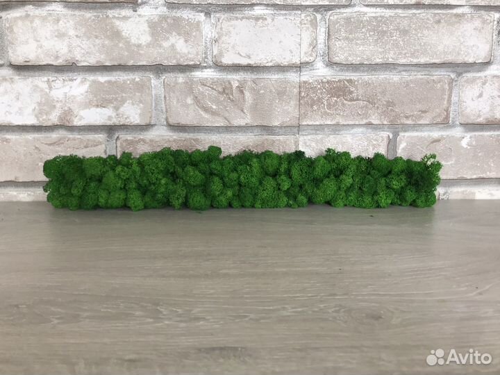 Лента из стабилизированного мха 50*5 см