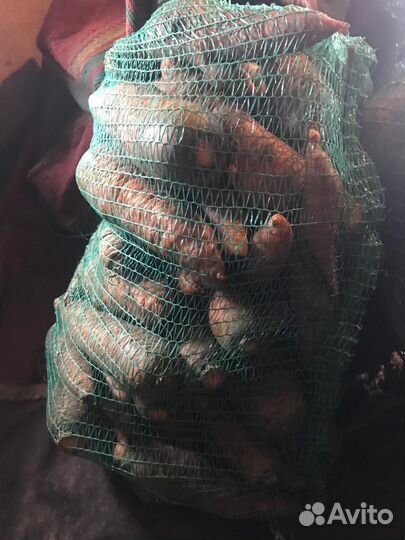 Картофель, морковь, свёкла, кабачки, паттисоны