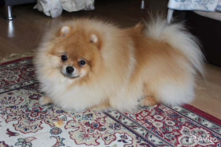 Вязка с инструктором