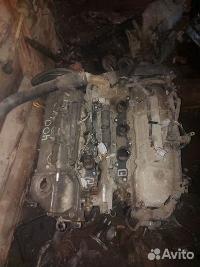 Двигатель 3л 1mz тойота харриер лексус rx300