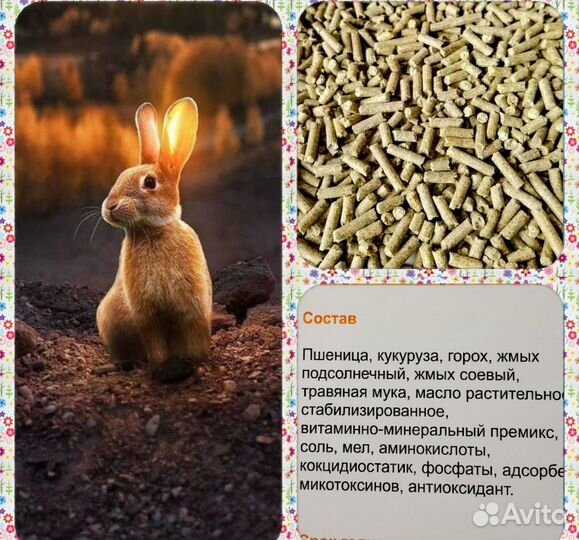 Корм для кролей