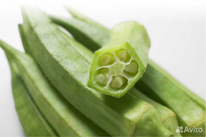 Семена бамии, 30 шт. (окра, гибискус съедобный)