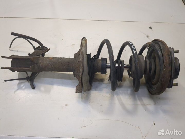 Амортизатор подвески Nissan Almera Tino, 2004