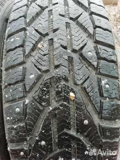 Tigar Ice 185/60 R15