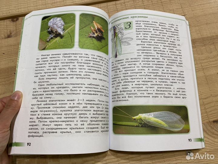 От земли до неба, Зеленые страницы Плешаков