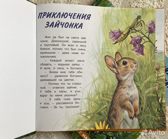 Книги о приключениях животных