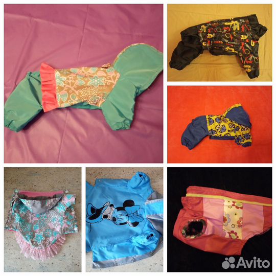 Пошив одежды для собак, кошек