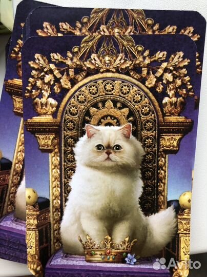 Таро Животных Дорин Верче