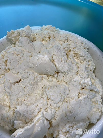 Молоко,творог,сметана,масло