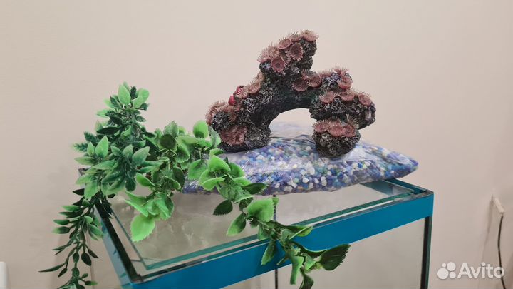 Аквариум на 20 литров