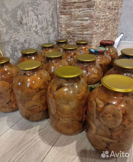 Рыжики