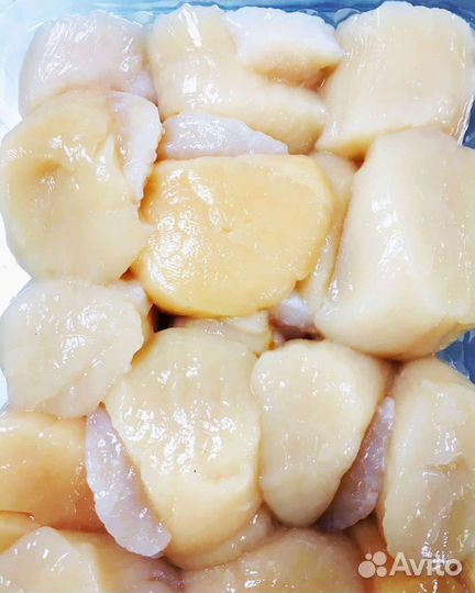 Морской гребешок