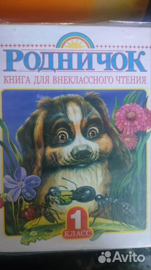 Родничок 1 класс