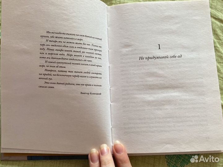 Эльчин Сафарли