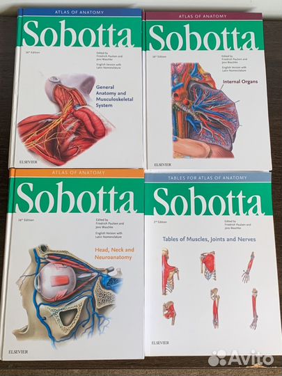 Sobotta атлас комплект (на английском)