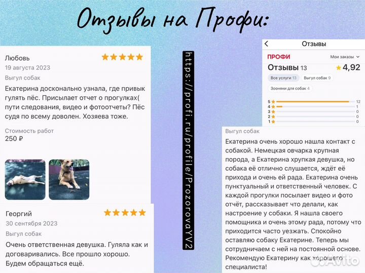 Выгул собак. Щукинская – Планерная