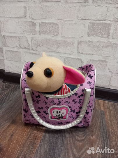 Собака чичилав