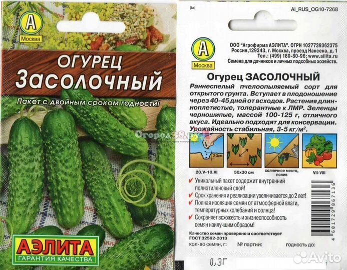 Рассада огурцов, кабачков