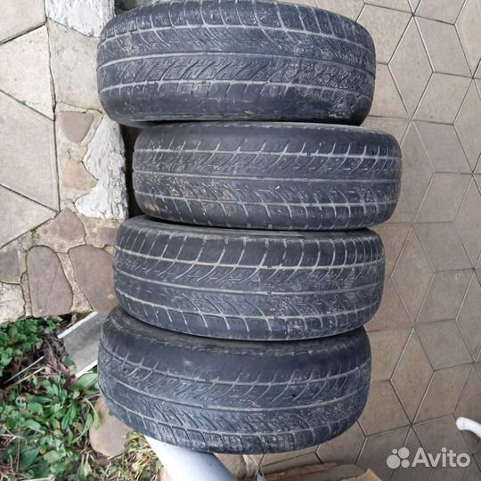 Tigar Sigura 175/65 R14