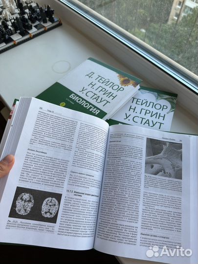 Биология грин стаут тейлор