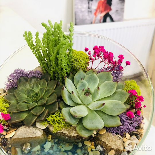 Флорариумы в наличии