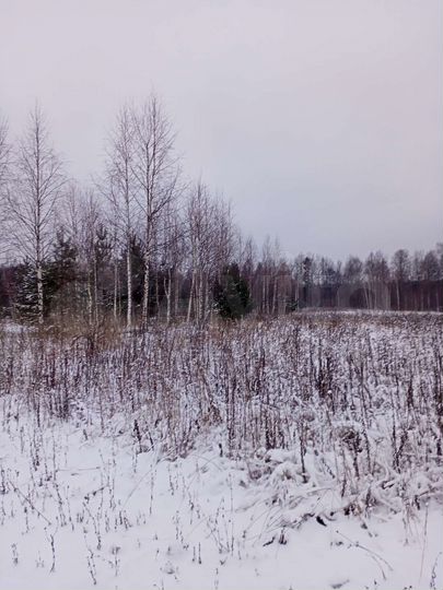 Участок 3,5 га (СНТ, ДНП)