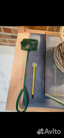 Террариум для красноухой черепахи