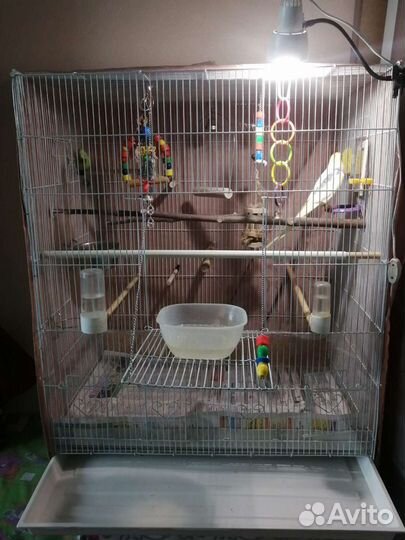 Продам клетку